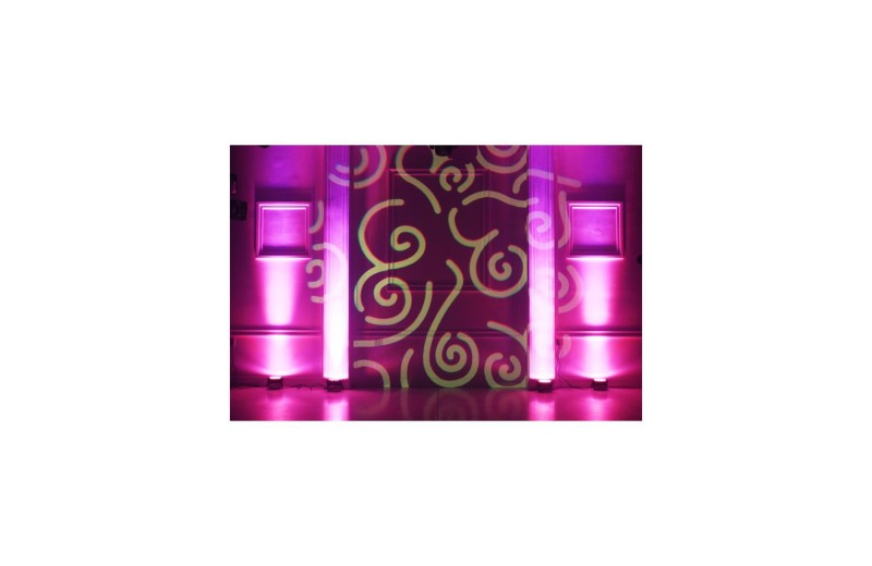 ADJ PinPoint Gobo Color