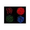 ADJ PinPoint Gobo Color