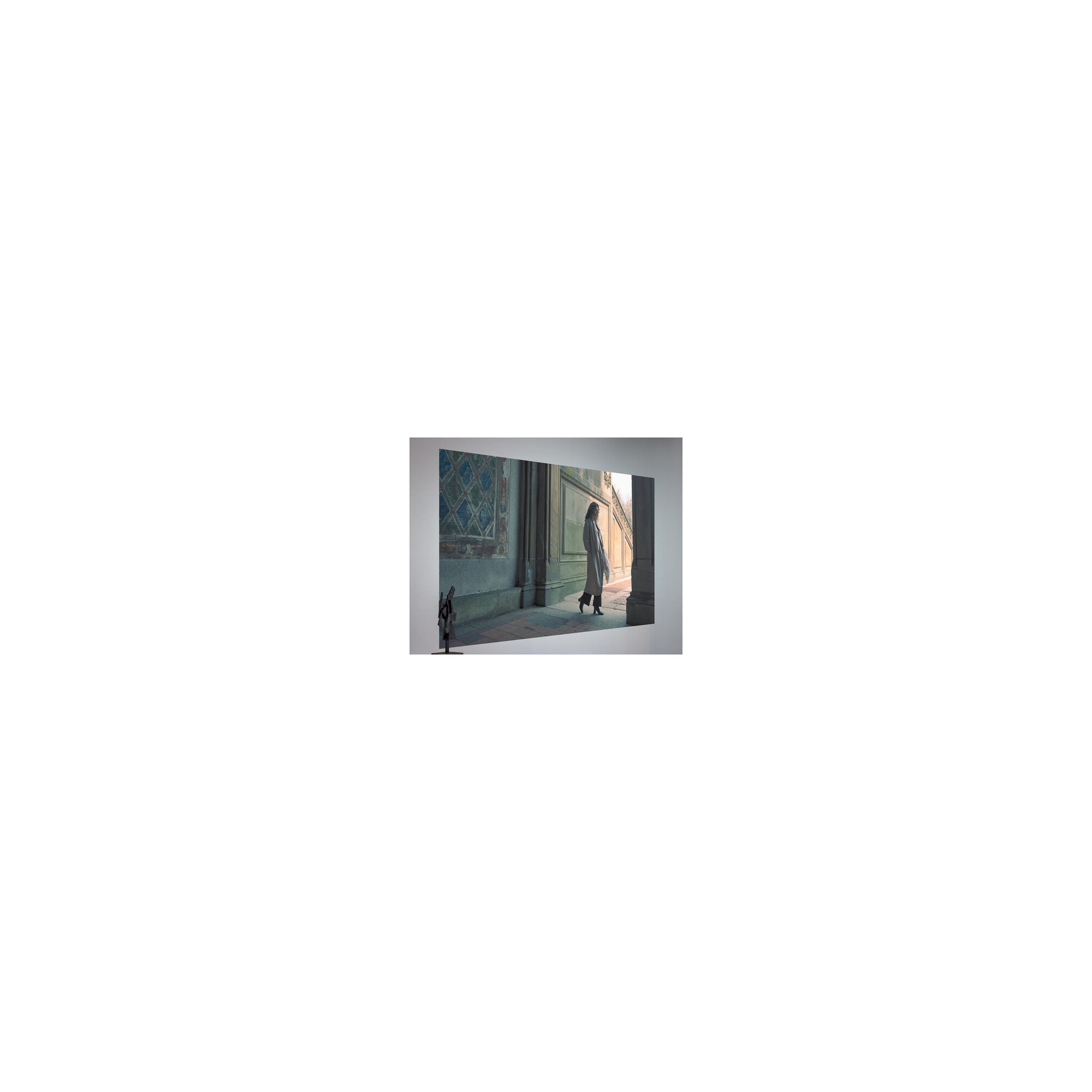 Leica 120" Daylight Alr Projection Screen (265 X 149 Cm)