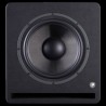 Prodipe Pro10S V4 Black Wood