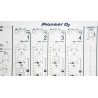 TOPDJSKIN PIONEER DJM 900NXS2 (White)