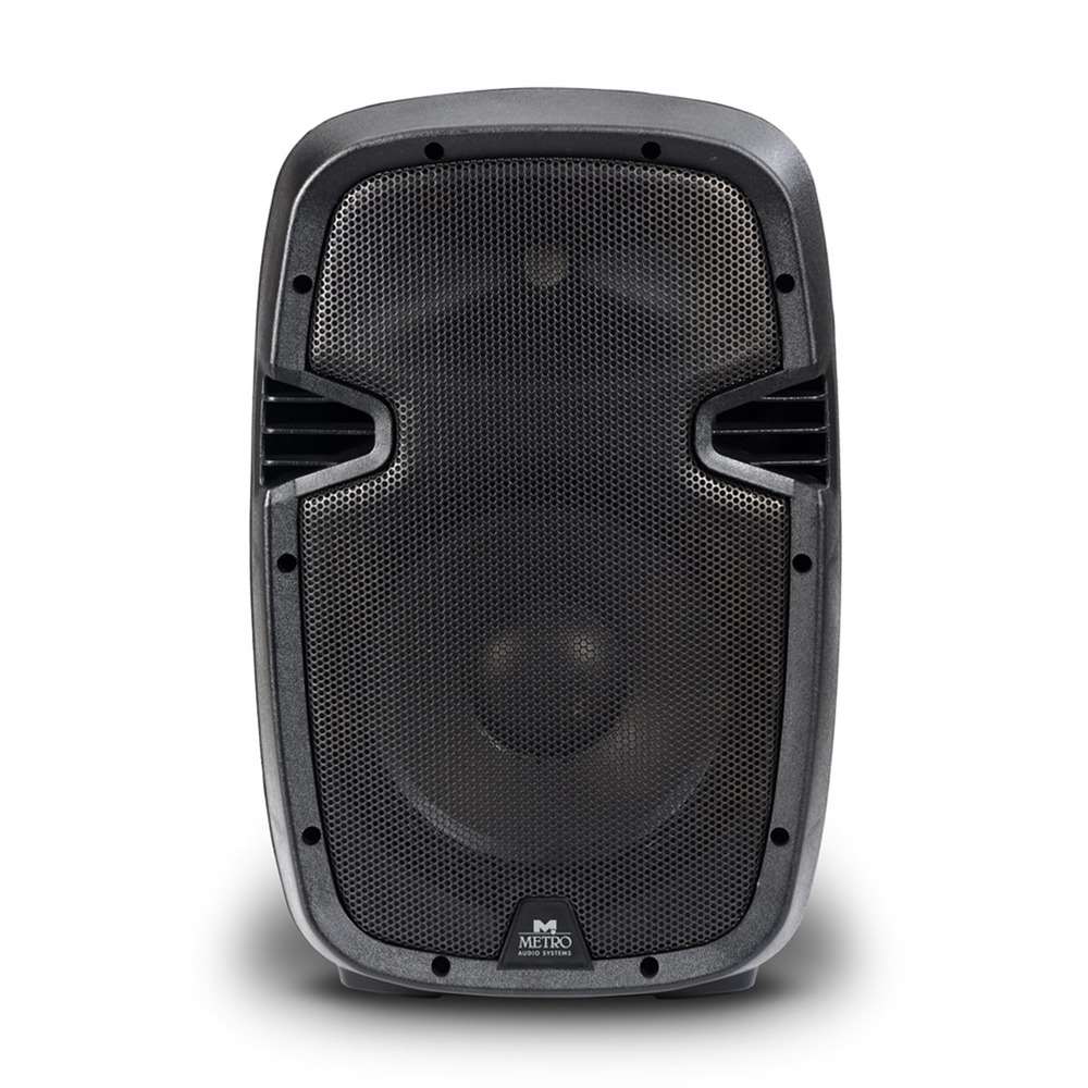 Metro Audio Systems ES-12 Passive Loudspeaker