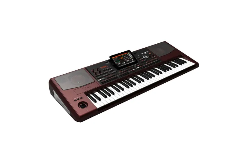 Korg PA1000 Professional Arranger 61 Keys