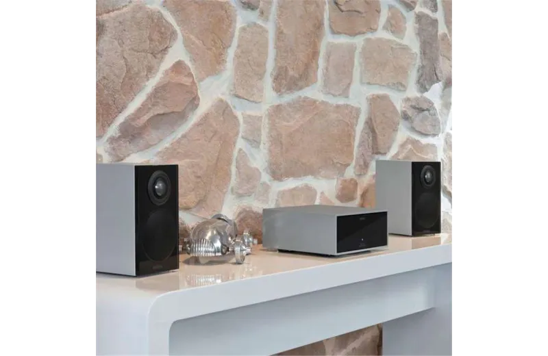 Revox Mini G50 Silver (Piece)