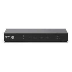 Arylic H400 Rakoso