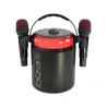 Ibiza Karahome-BK Karaoke Bluetooth Speaker