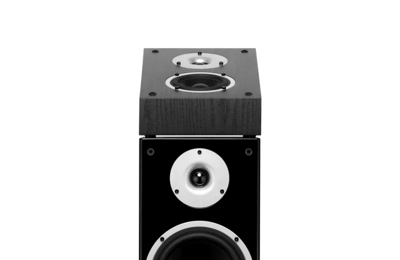 Wilson Raptor X Atmos Louspeaker (Pair) - Black