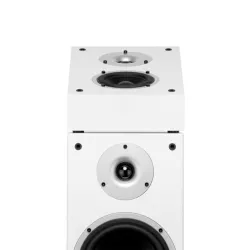 Wilson Raptor X Passive Loudspeaker - White