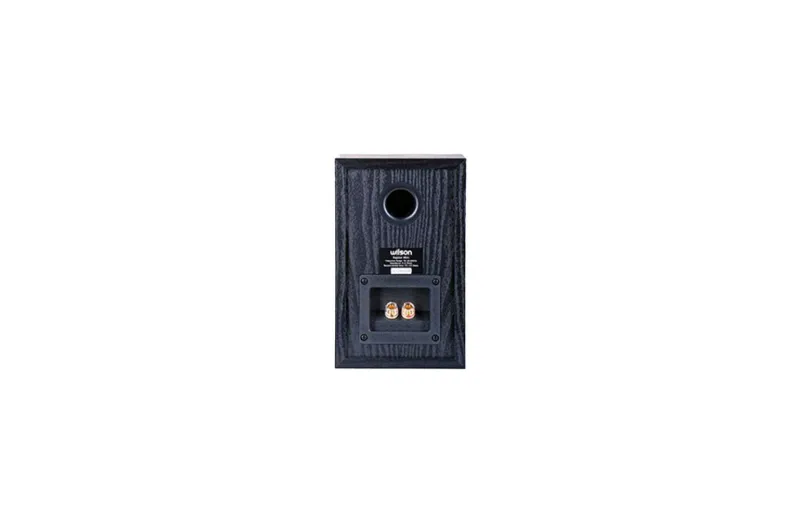 Wilson Raptor Mini Bookshelf Speaker - Black