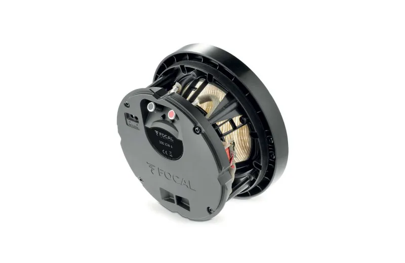 Focal 300 ICW 6