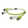 Oyaide d+ XLR class B stereo cable XLR-XLR 2m