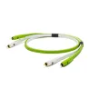 Oyaide d+ RCA class B Kαλώδιο RCA-RCA 2m