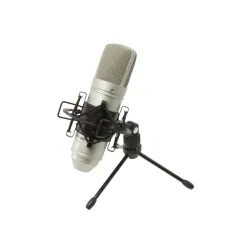 Tascam TM-80 καρδιοειδές πυκνωτικό μικρόφωνο