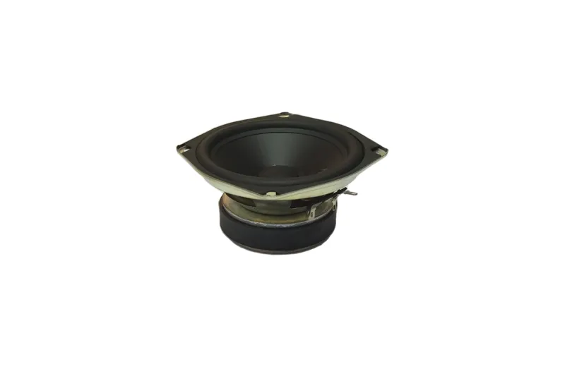 Modern Acoustics PL5WF WOOFER
