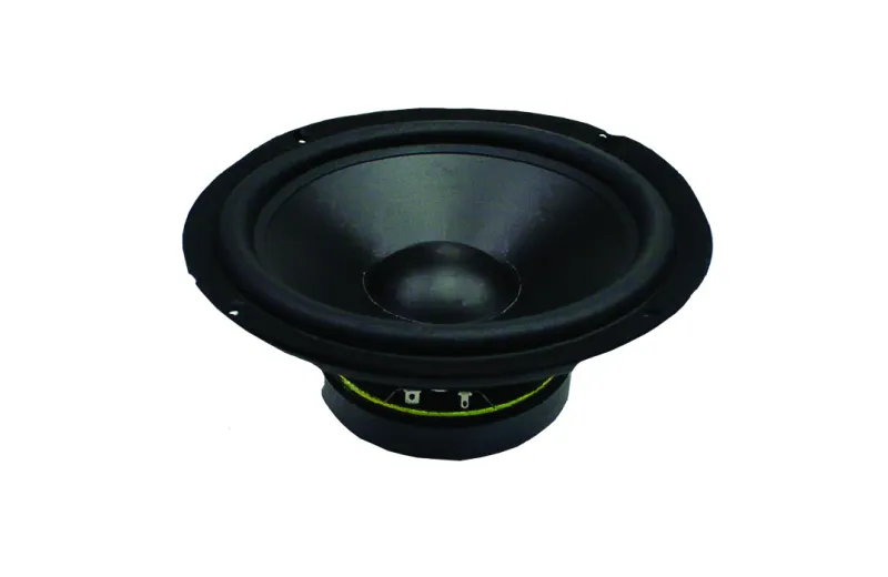 Modern Acoustics PL6 Woofer