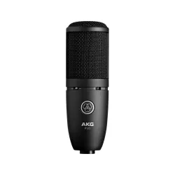 AKG Perception 120 condenser microphone