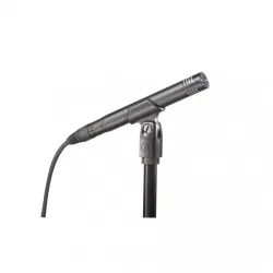 Audio Technica AT2031 Μικρόφωνο Studio