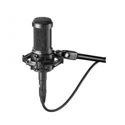 Audio Technica AT2050 Μικρόφωνο Studio