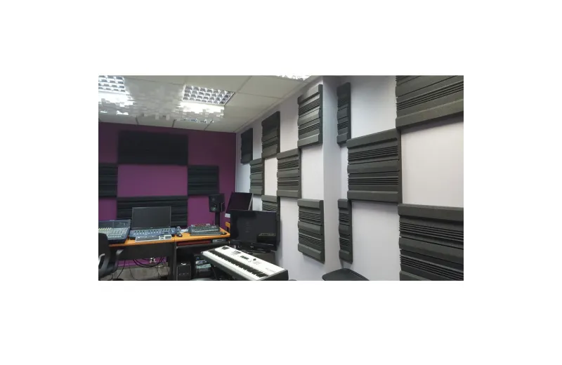 Alphacoustic soundproof panel POLYFON-S.55 (PIECESX8)