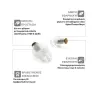 Alpine earplugs MusicSafe Classic (New generation) - Earplugs Transparent