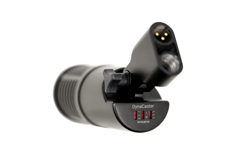 sE Electronics DynaCaster