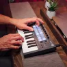 Novation Flkey Mini keyboard