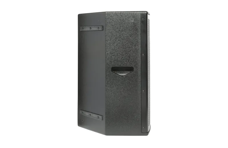 Metro Audio Systems WS-12 Παθητικό Ηχείο - Μαύρο