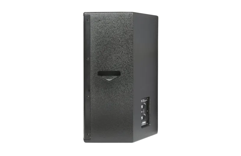 Metro Audio Systems WS-12 Παθητικό Ηχείο - Μαύρο