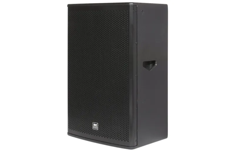 Metro Audio Systems WS-15 15" Passive Loudspeaker - Black
