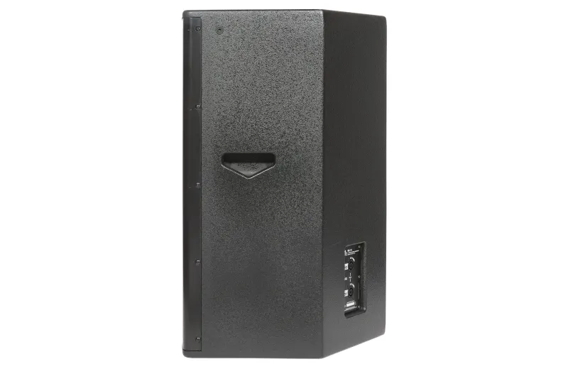 Metro Audio Systems WS-15 15" Passive Loudspeaker - Black