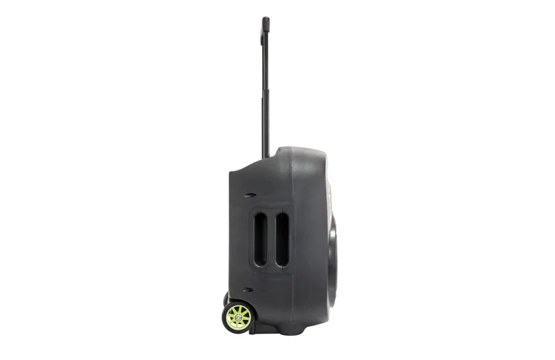 Ibiza PORT12VHF-MKII-TWS Portable Speaker