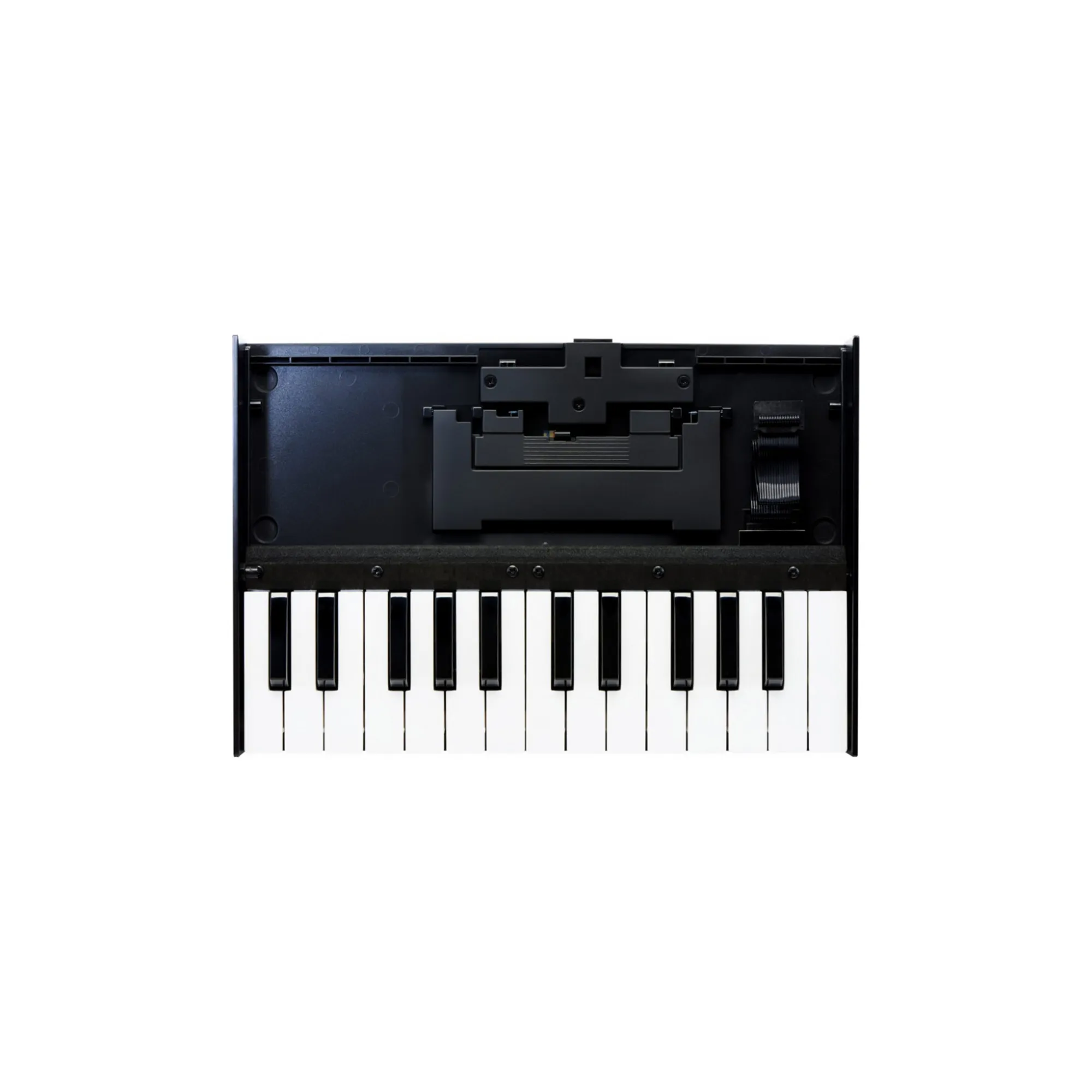 Roland Boutique K-25m Keyboard