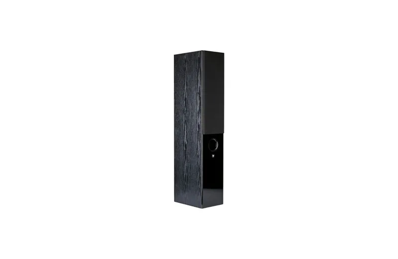 Wilson Raptor 7 Floorstanding Speaker (Pair) - Black