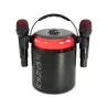 Ibiza Karahome-BK Karaoke Bluetooth Speaker