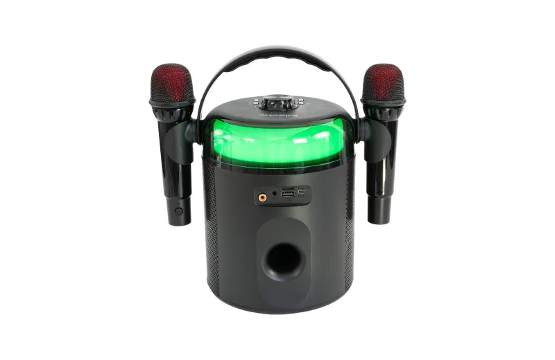 Ibiza Karahome-BK Karaoke Bluetooth Speaker