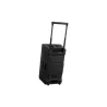 Alphatheta Wave-Eight Active Loudspeaker