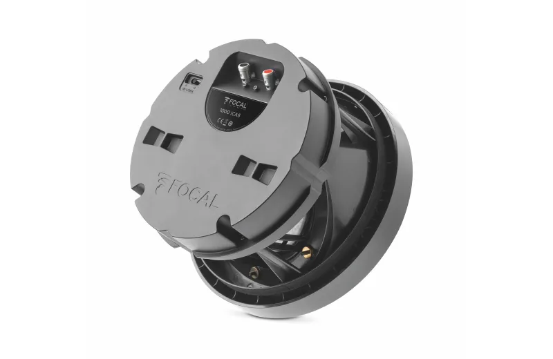 Focal 1000 ICA6