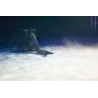 ADJ Entour Ice Μηχανή Καπνού