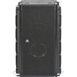 Metro Audio Systems LA-300S subwoofer