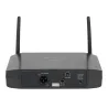 Bler Audio BR-170HH Wireless Microphone System