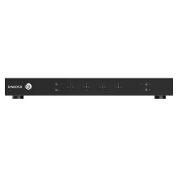 Arylic H400 Rakoso