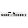 ARTURIA KEYLAB 88 ESSENTIAL ΛΕΥΚΟ + ΔΩΡΟ Pigments 2