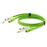 Oyaide d+ RCA for TurnTable Class B 2.0m