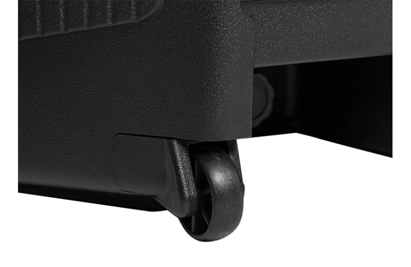 Stagg AS15B Battery powered speaker with Wireless Microphones