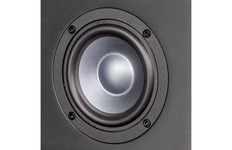 Eve Audio Exo 24 Speaker