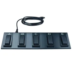 Korg Ec5 5-Way Switch