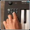 Nektar Impact Gxp49