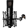 Warm Audio Wa-87 R2 Black