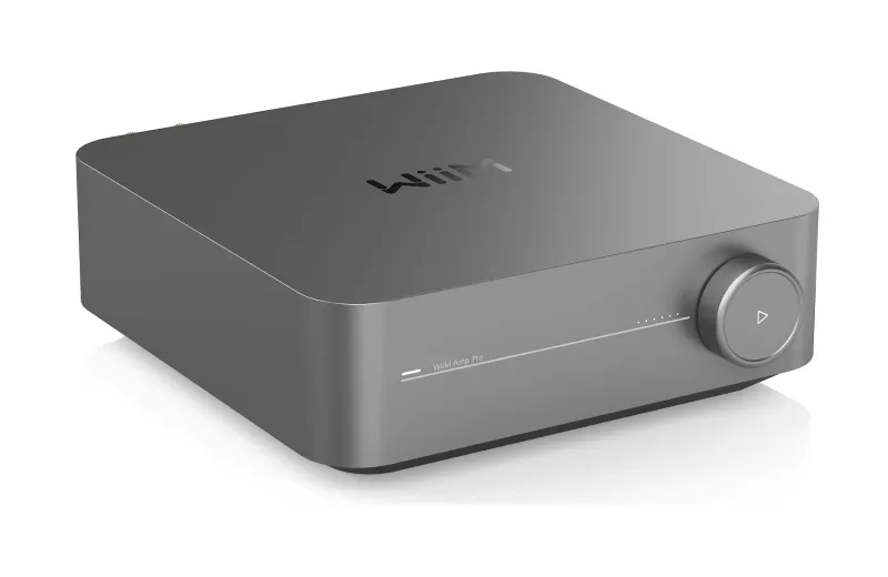 Wiim Amp Pro