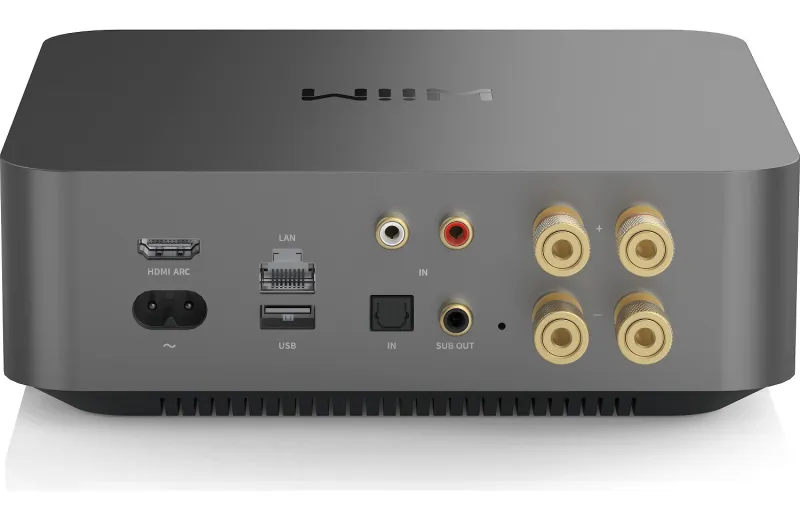 Wiim Amp Pro